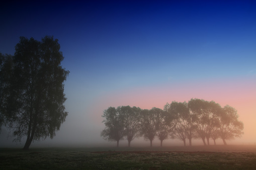 Landscape sunset in Narew river valley, Poland Europe, foggy misty meadows with trees, spring time