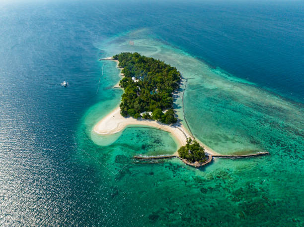 istock Beach resort with white sandy beach in Samal, Davao. Philippines. 1690533897