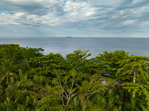 Coastline with green trees and palm tree in Camiguin Island. Philippines.