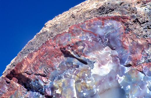 Petrified Wood at Petrified Forest National Park, Arizona USA, with clear blue sky.A petrified log has crystallized into many varied colors formed by silica, iron, carbon, manganese and other minerals.