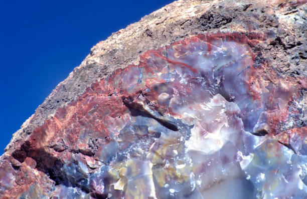 Petrified Wood at Petrified Forest National Park, Arizona USA, with clear blue sky. Petrified Wood at Petrified Forest National Park, Arizona USA, with clear blue sky.A petrified log has crystallized into many varied colors formed by silica, iron, carbon, manganese and other minerals. petrified wood stock pictures, royalty-free photos & images