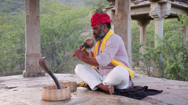 istock Indian snake charmer, Jaipur, Rajasthan 1690614751