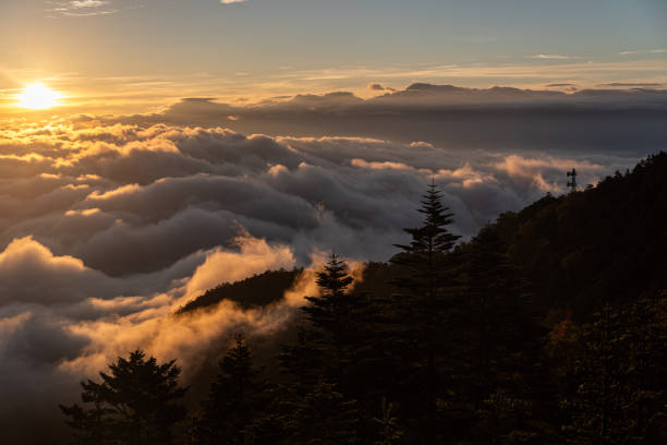 istock sunrise and sea of clouds 1690627844