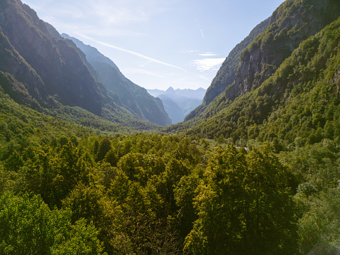 Swiss canyons with high cliffs and green trees, sunny morning view from a drone