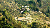 Farm complex amidst terraced rice fields in Northern Vietnam, near Sapa.