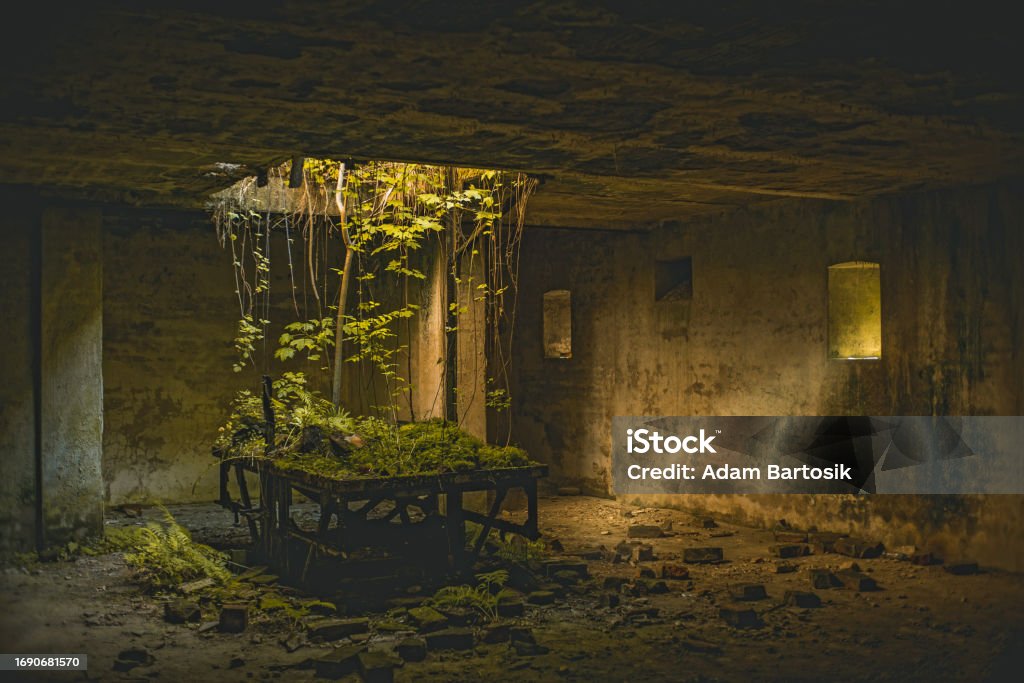 Underground Crypt Build Underground Crypt With Elevator Stock Photo - Download Image Now ...