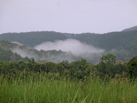 A scenic landscape with a fog-covered mountain range in the background