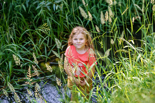 A Happy Girl Embraces the Joys of Childhood as She Explores a Summer Creek, Immersing Herself in Nature's Wonders and Playful Discoveries. Preschool Child and Summertime