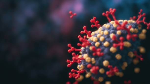 istock Antigen of COVID-19 new mutation variant Pirola 1690758134
