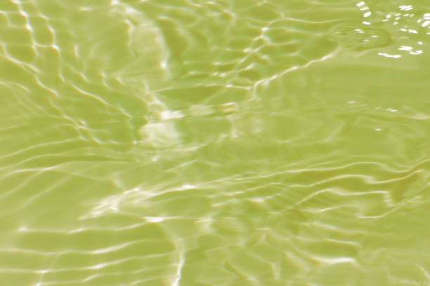 istock Defocus blurred transparent green colored clear calm water surface texture with splashes reflection. Trendy abstract nature background. Water waves in sunlight with copy space. Blue watercolor shine. 1690758180