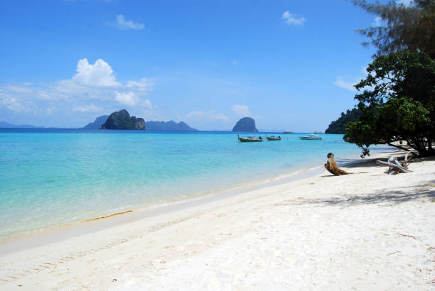 istock Beach of Ko Ngai, 2 1690765382