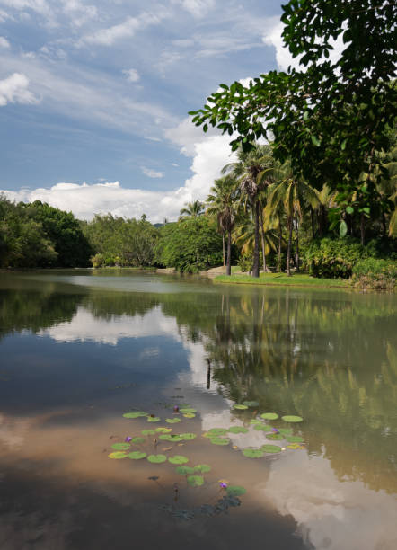 istock The scenery in the park in summer 1690772325