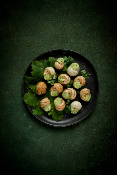 ブドウのカタツムリ、ブルゴーニュ、フランス料理を詰めた、 - gourmet snail food escargot ストックフォトと画像