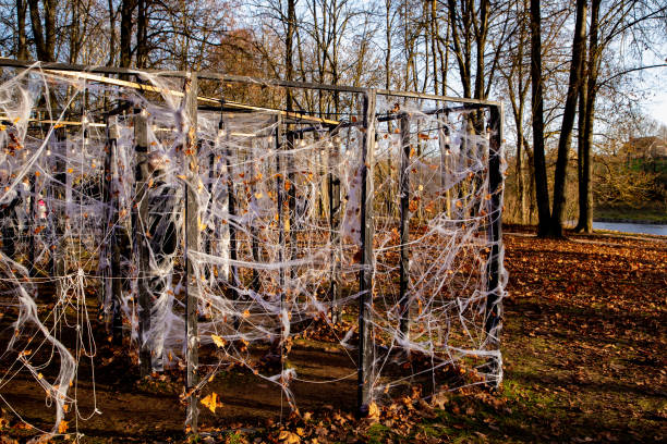 Halloween installation maze made from a spider's web.