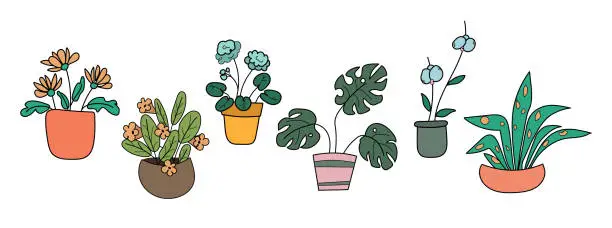 Vector illustration of Set of indoor plants on a white background
