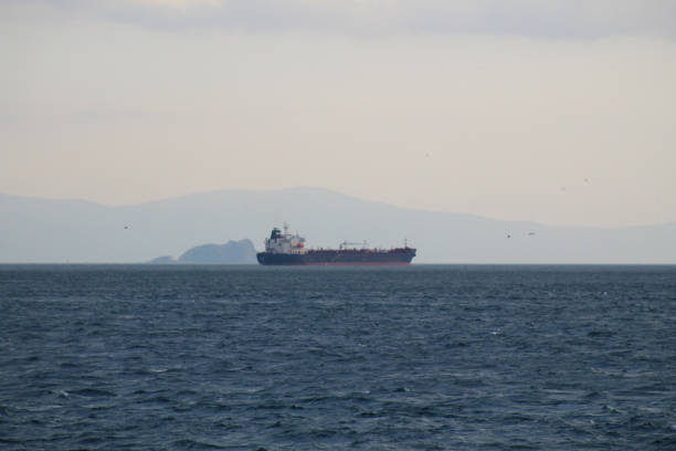 istock Bosphorus Passage: Cargo Ship in Istanbul, Turkey 1690804429