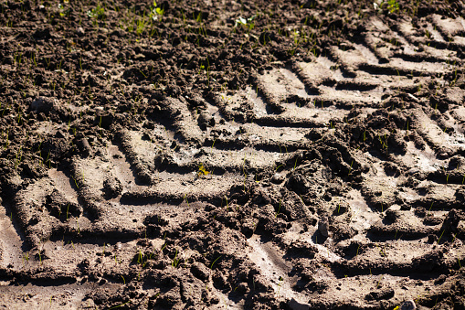 Close-up of a tractor wheel print in dark soft ground, in an agricultural field.