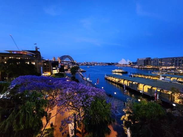 istock Sydney Harbour Bridge at dusk, Australia 1690809141