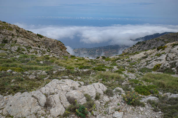 지중해와 트라문타나 산맥(tramuntana mountains)의 전망 puig caragoli, 마요르카 - valldemossa 뉴스 사진 이미지