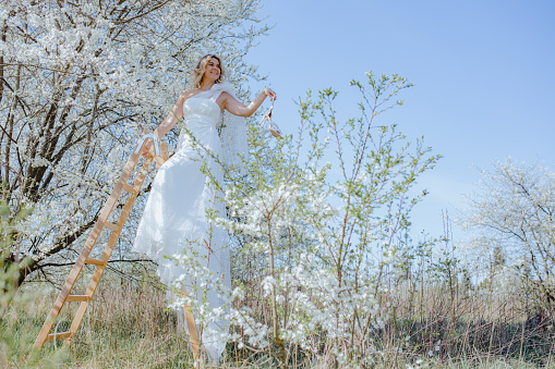 Wonderful bride in long and sumptuous nuptial gown standing on wooden stepladder near white sakura and holding pair of bridal shoes in hand. Young woman with bright smile looking away from above.