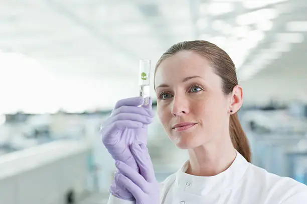 Photo of Scientist examining plant in test tube in lab