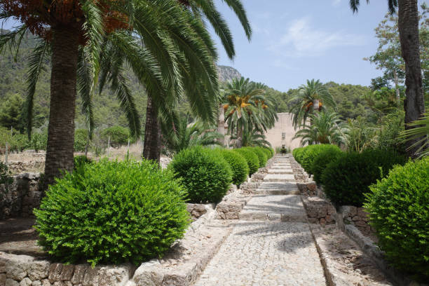 Idyllic old stone house with lemon trees in the garden a sunny summer day