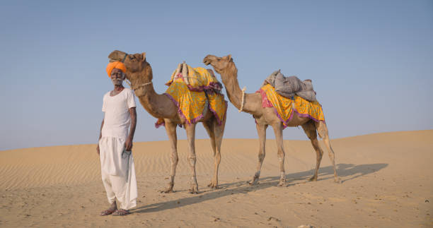 istock Indian man posing with camels on sand dunes, Rajasthan, India 1690838118
