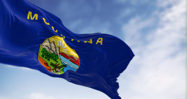 bandeira do estado de montana agitando o vento em um claro da - montana flag us state flag banner - fotografias e filmes do acervo