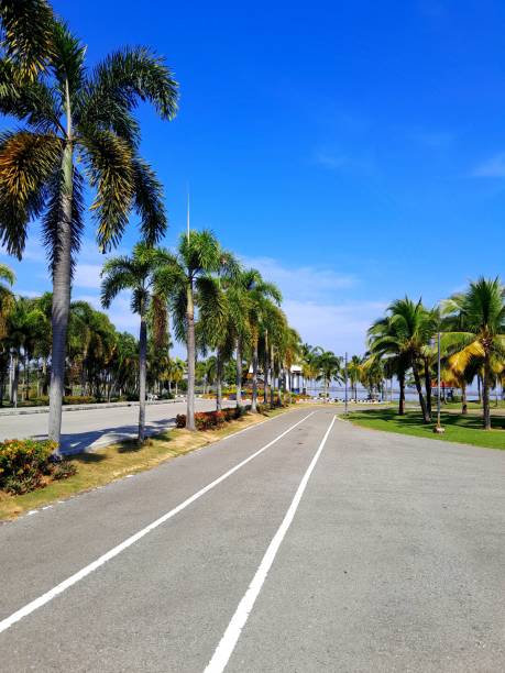 istock Road in the park 1690846783