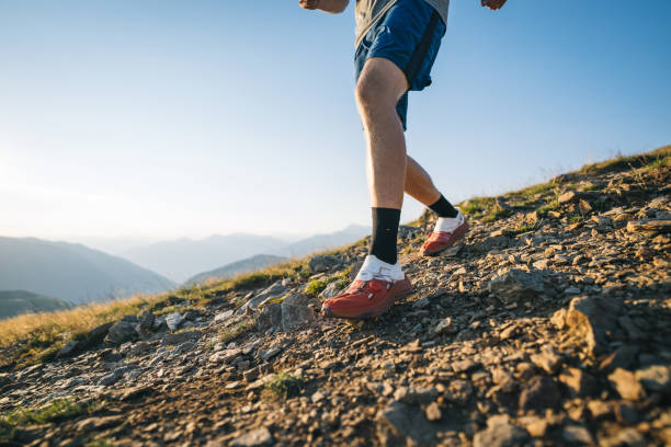 istock Trail runner bounds along mountain trail 1690850377