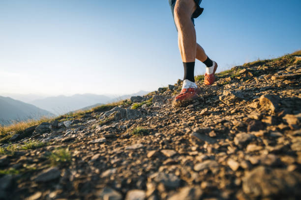 istock Trail runner bounds along mountain trail 1690850388