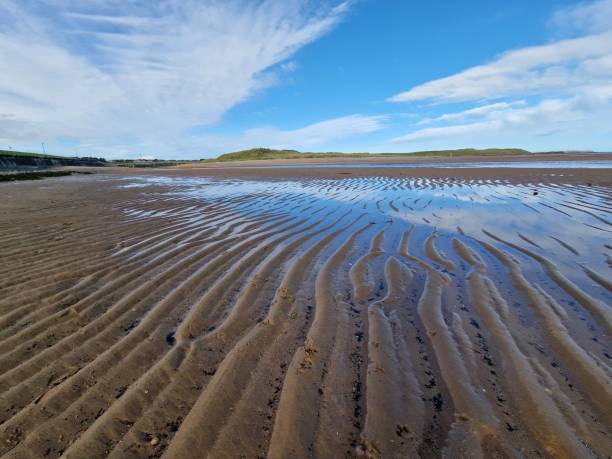 istock Sand, sea and sky 1690857118