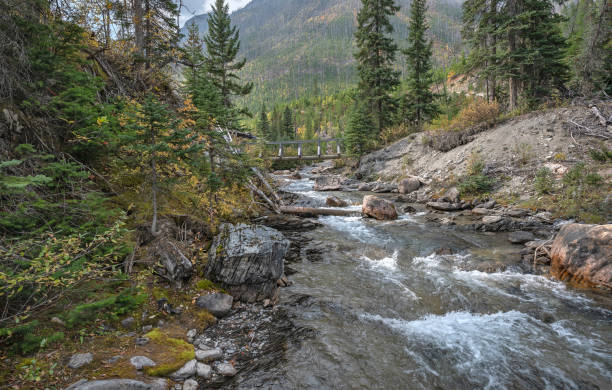 istock Distant Footbridge Crossing Floe Creek 1690863353