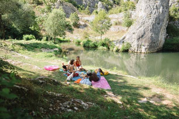 istock Friends having a picnic in nature 1690867204