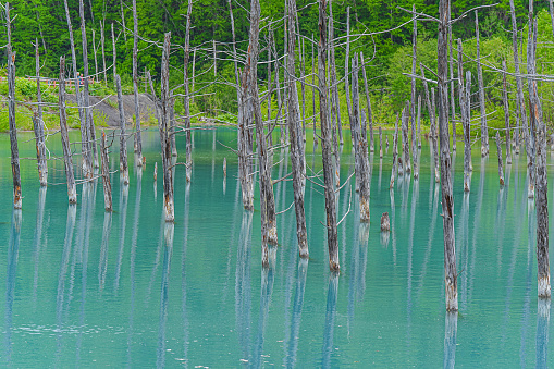 Blue pond in biei town