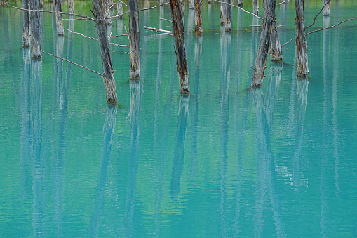 Blue pond in biei town