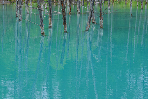 Blue pond in biei town