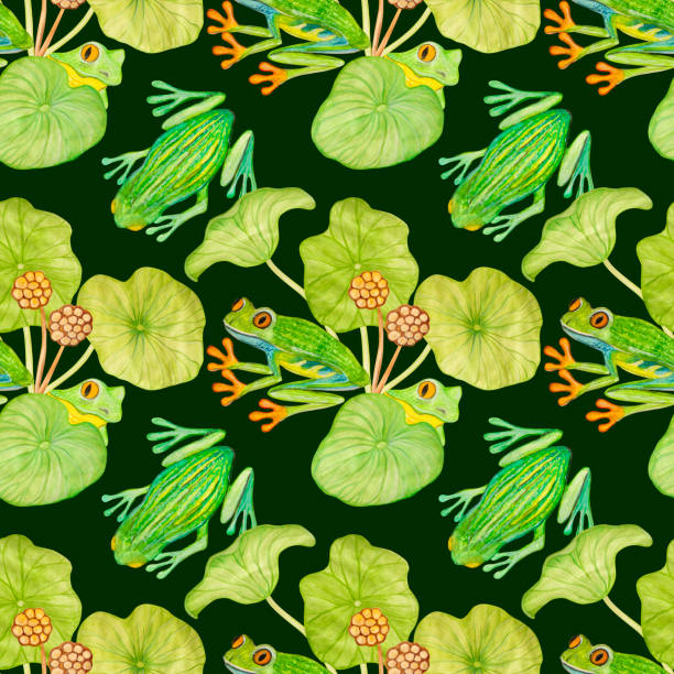 Tree Frog Pattern Texture 300+ Tree Frogs Backgrounds Stock Illustrations, Royalty-Free Vector ...