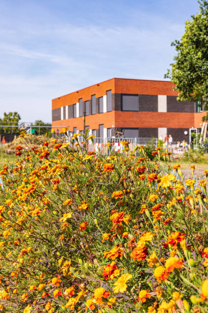 istock Allotment garden Marum the Netherlands 1690895187