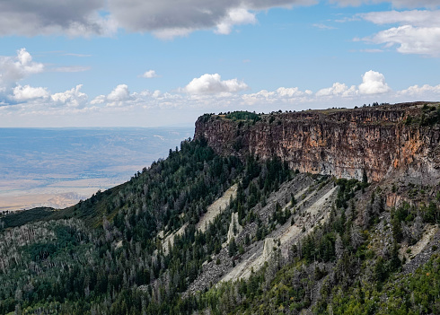 View from Grand Mesa, Colorado to the surrounding forest below.