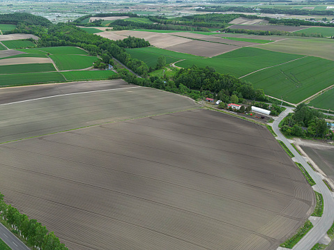 drone view of rural landscape in spring in Vojvodina