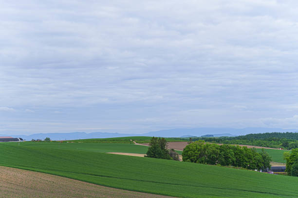 istock View of country farm 1690900124