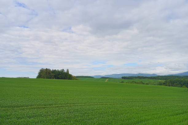 istock View of country farm 1690903993