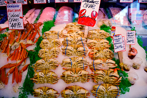 Seattle, Washington state, United State: large crabs for sale, place on ice and immobilized with rubber-bands and framed by parsley - Dungeness crab (Metacarcinus magister), named after the Dungeness Spit, Salish Sea / Strait of Juan de Fuca, Washington State, some 80km NW of Seattle - Alaskan snow crab legs to the left - Pike Place Fish Market.