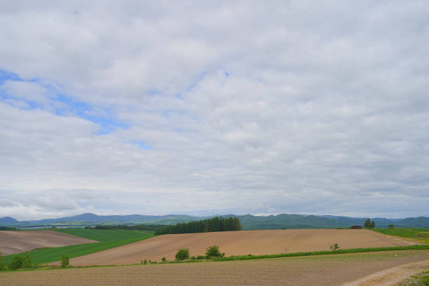 istock View of country farm 1690913027
