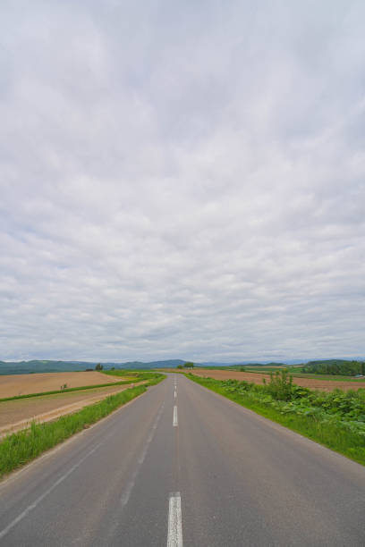 istock View of country farm 1690913048