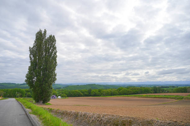istock View of country farm 1690913061