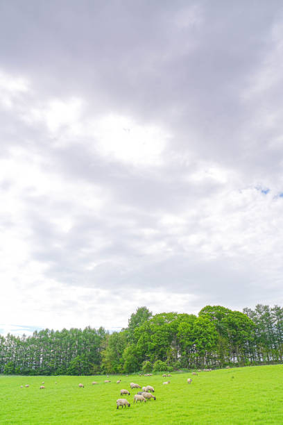 istock View of country farm 1690913625