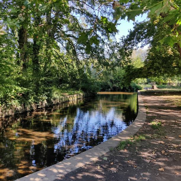 istock River Wandle in Morden Hall Park 1690920909