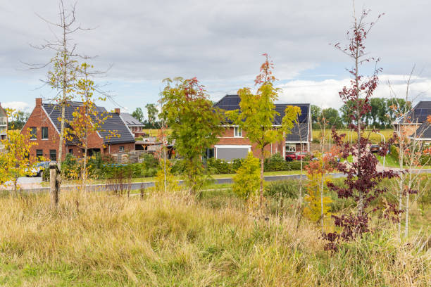 istock Nature island in Zuidhorn 1690921102